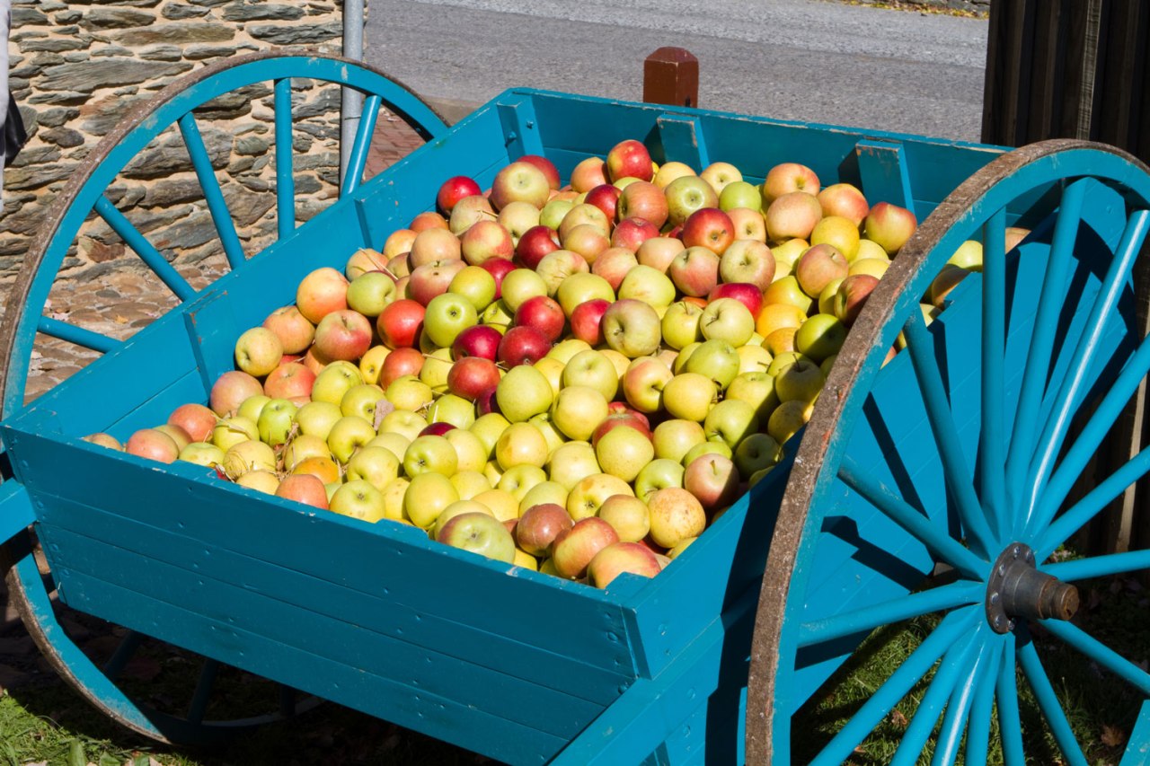 Revolutionizing Agriculture with Robotics: The Future of Apple Harvesting