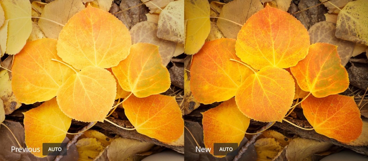 Enhancing Your Photo Editing Experience: Embracing AI in Adobe Lightroom