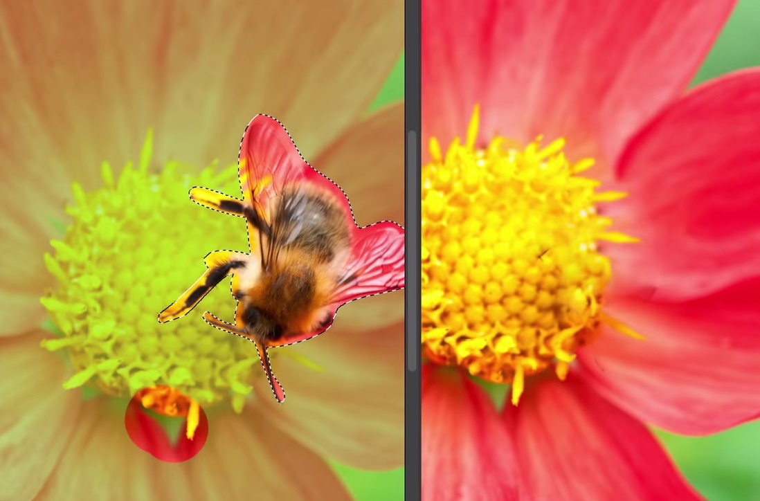 Unleashing Creativity: Adobe’s Enhanced Content-Aware Fill in Photoshop