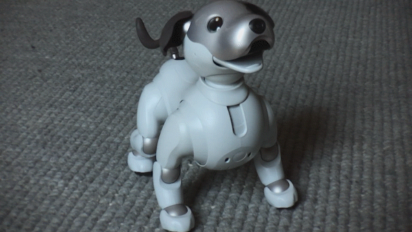 Aibo’s New Tricks: Transforming the Robot Dog Experience