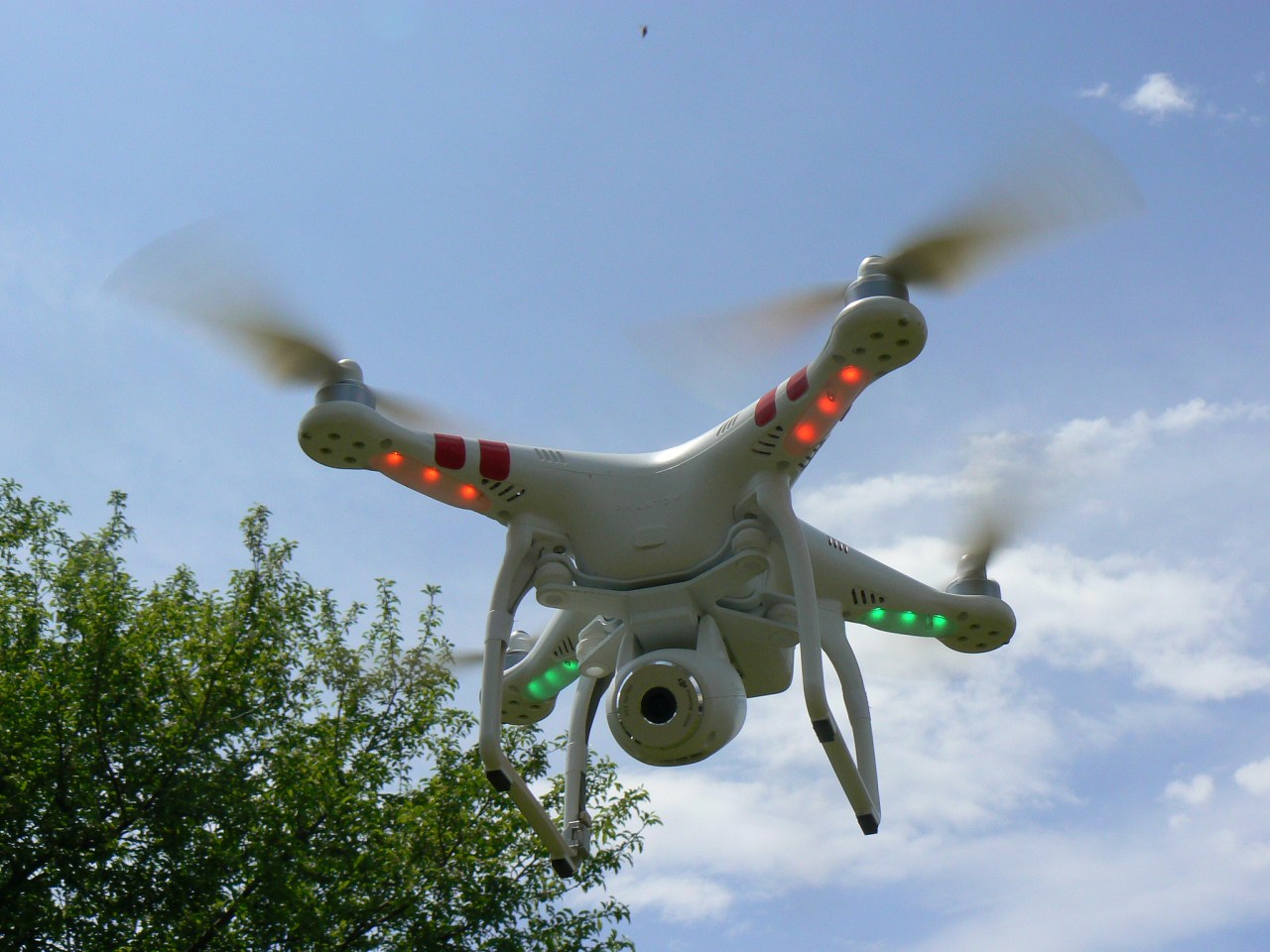 Revolutionizing Airport Safety: Autonomous Drones for Bird Deterrence