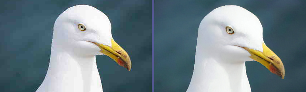 Transforming Low-Resolution Photos: The Role of AI in Image Enhancement