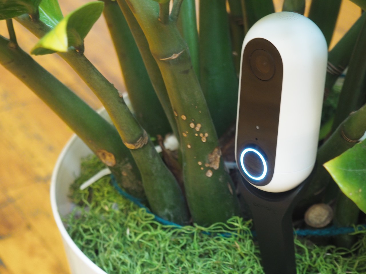 Enhancing Home Security: Canary’s Revolutionary Person Detection Technology