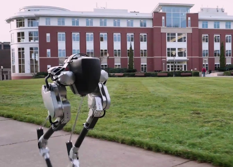 The Evolution of Bipedal Robots: Meet Cassie, the Ostrich-Inspired Marvel