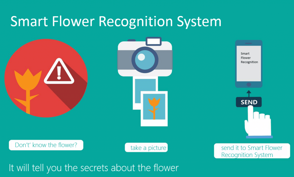 The Renaissance of Botany: Exploring Microsoft’s Smart Flower Recognition System