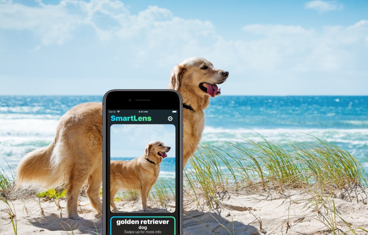 The Future of Visual Search: Meet SmartLens
