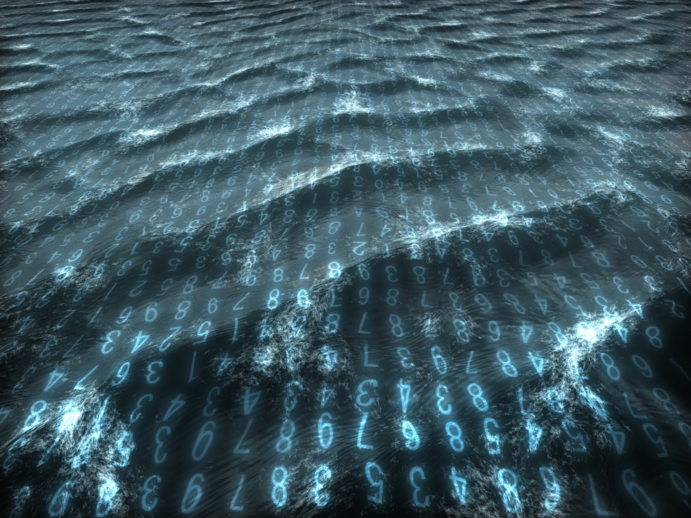 Evolving Application Platforms: From Software to Dataware