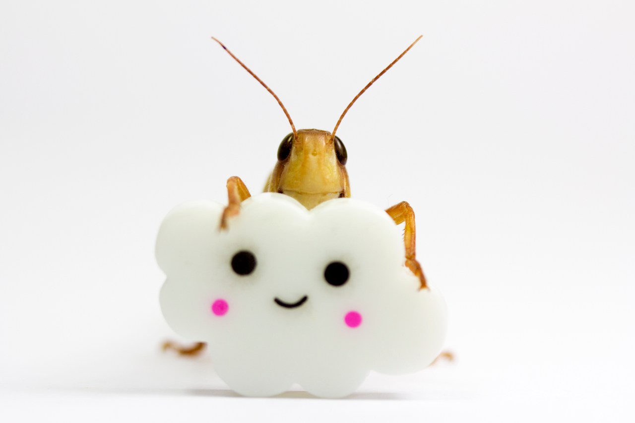 UTF-8utf-8Google20Cloud20lets20businesses20create20their20own20text-to-speech20voices