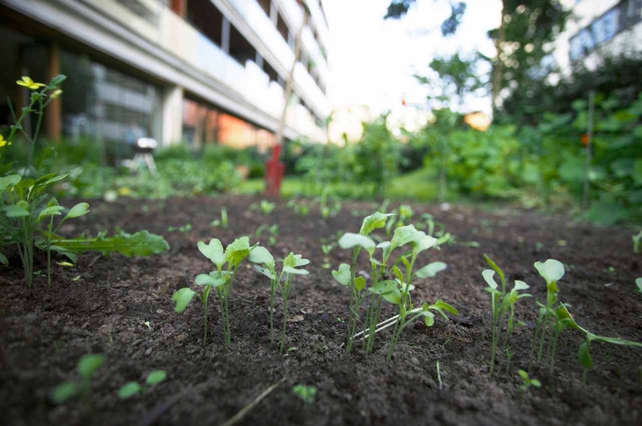 Harvesting Next-Gen Technologies for Sustainable Agriculture