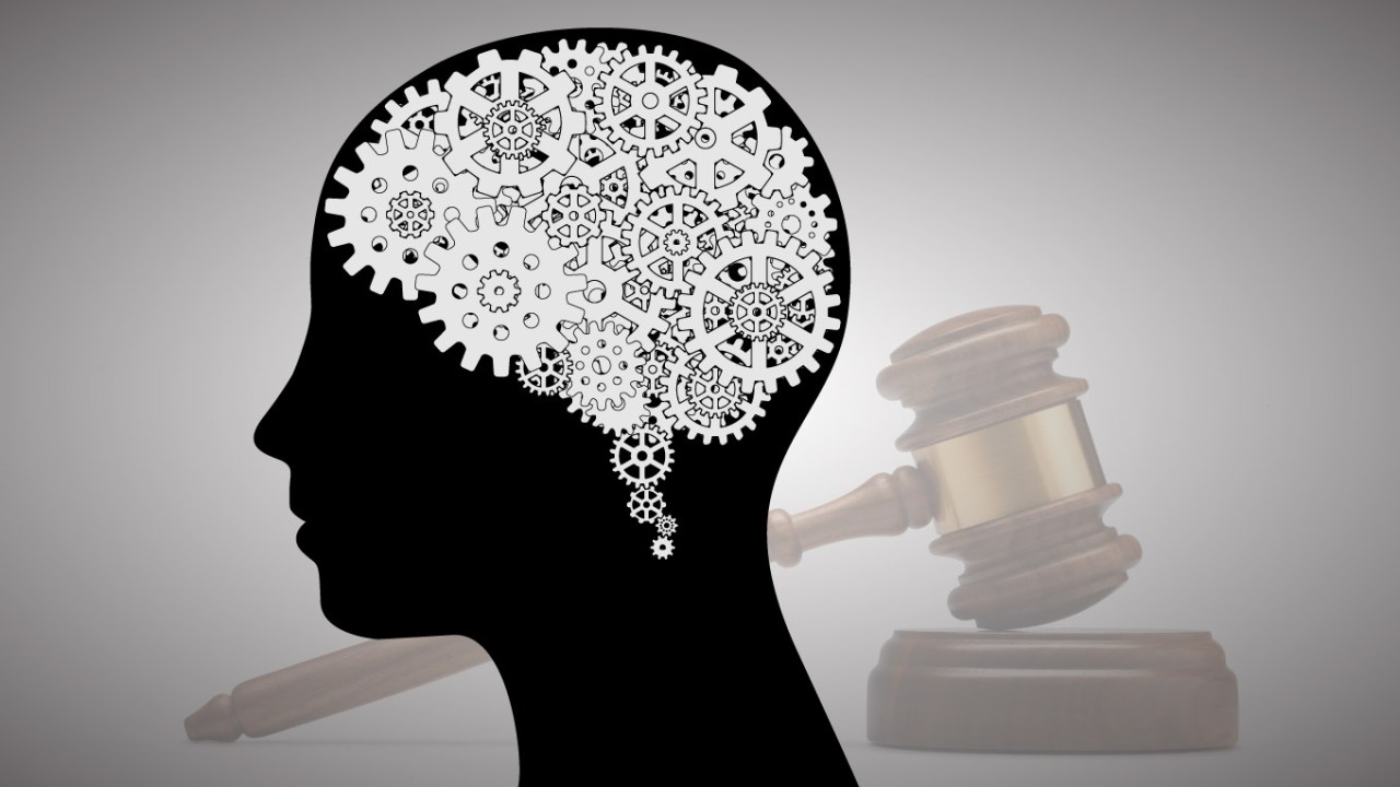 The Patent Landscape: Insights Into Innovation and Technology Progression