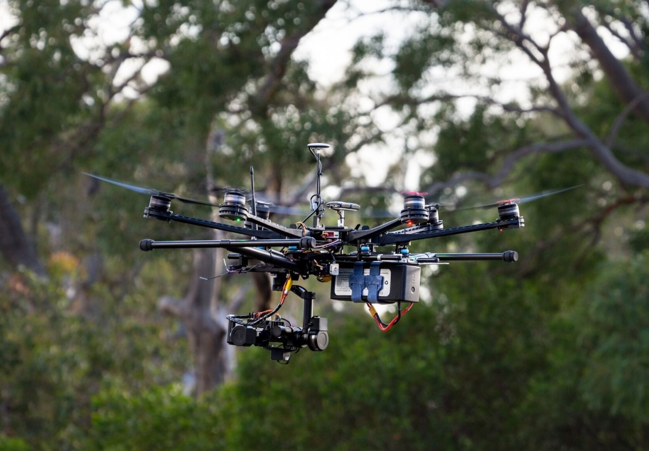 Koalas Meet Tech: How Drones and AI Are Transforming Wildlife Conservation