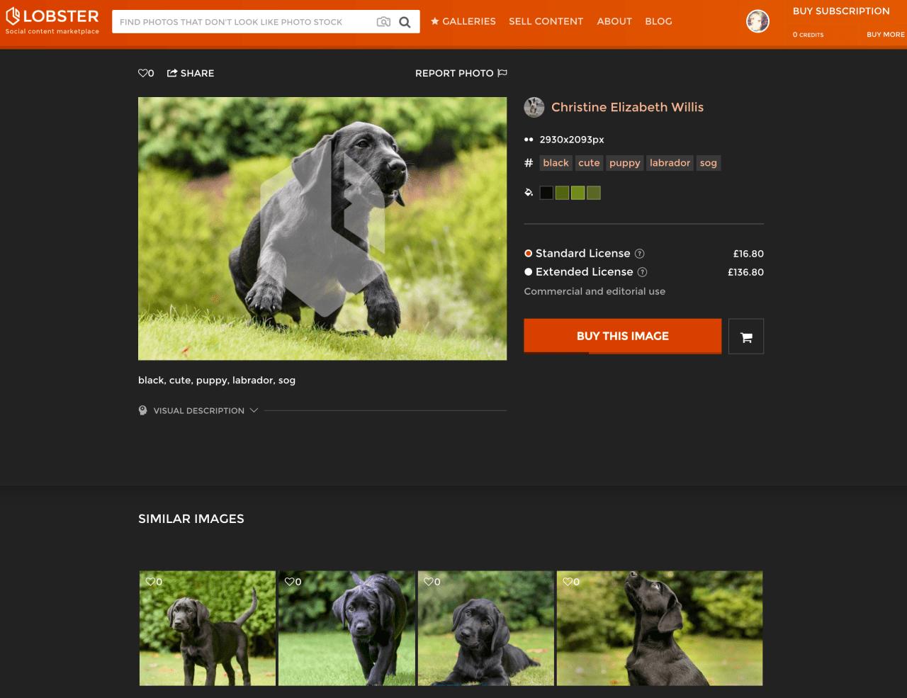 Lobster’s Innovative Approach to User-Generated Content Licensing