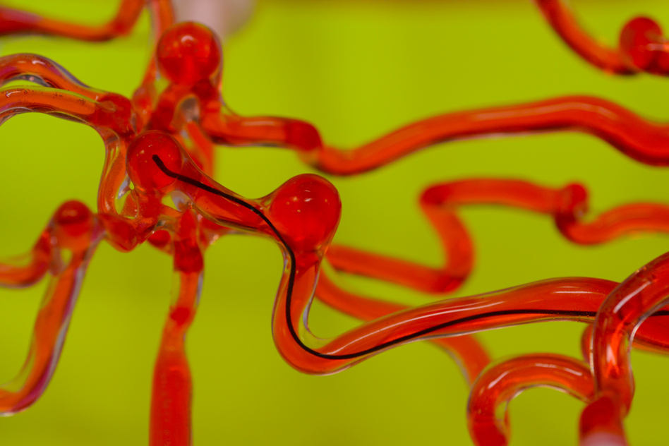 Revolutionizing Brain Surgery: MIT’s Groundbreaking Robot Threads