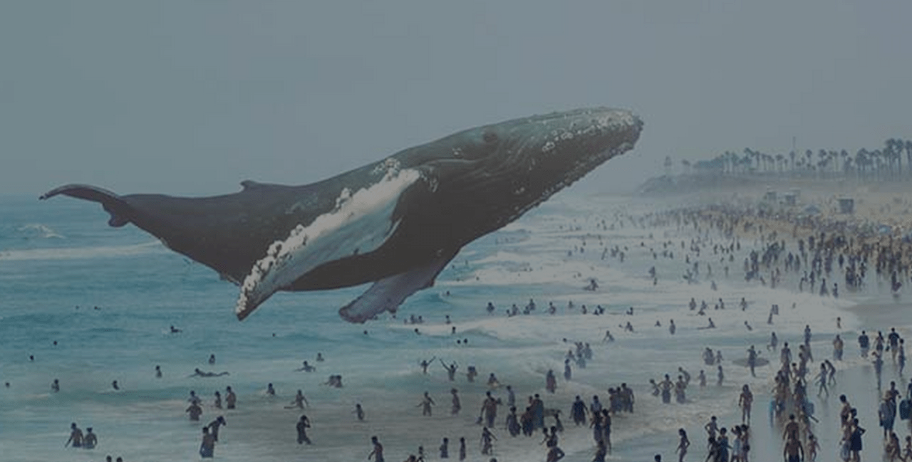 Decoding the Whimsical World of Magic Leap’s New Website