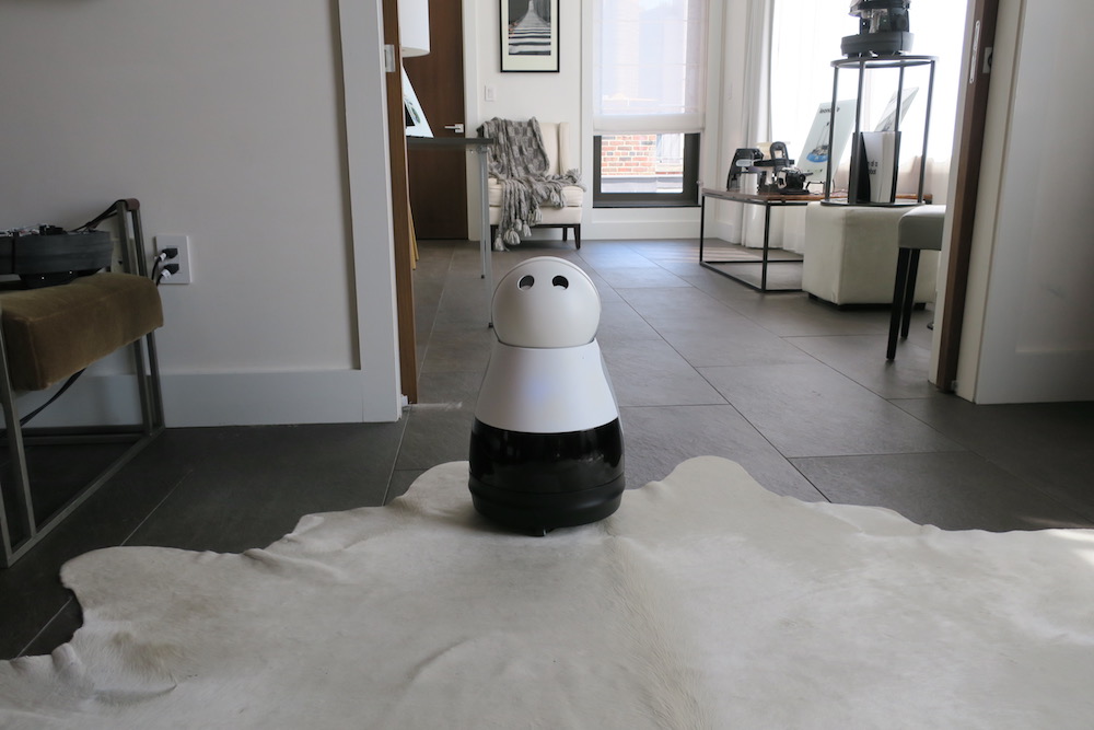 UTF-8utf-8Mayfield20Robotics20ceases20production20of20Kuri20robot20amid20a20questionable20future