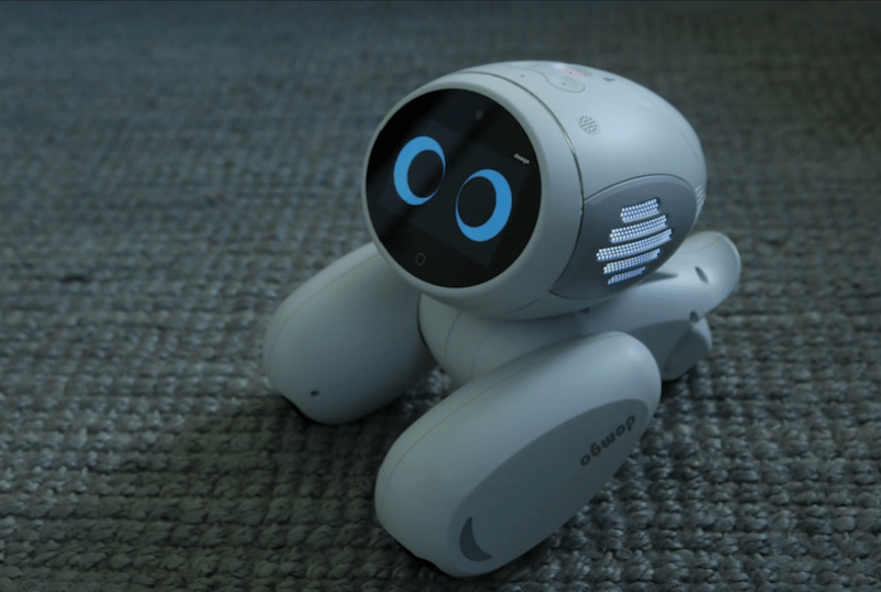 Introducing Domgy: The Future of AI Pets from ROOBO