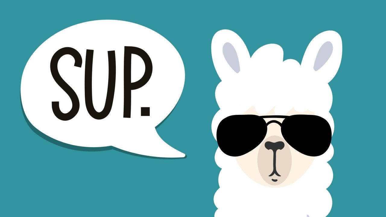 Meta Llama: Unleashing the Power of Open Generative AI