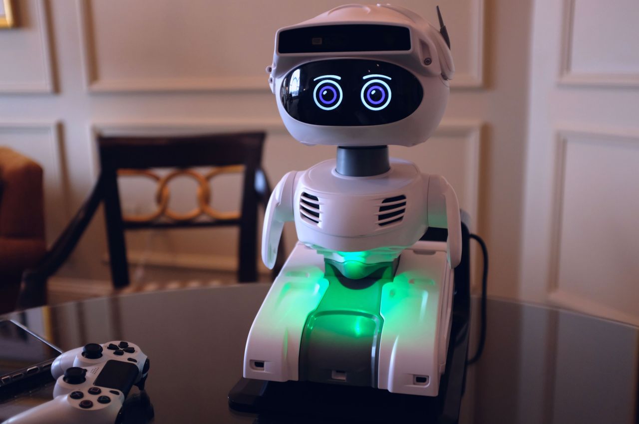 Unpacking the Promise of Consumer Robotics: The Rise of Misty II