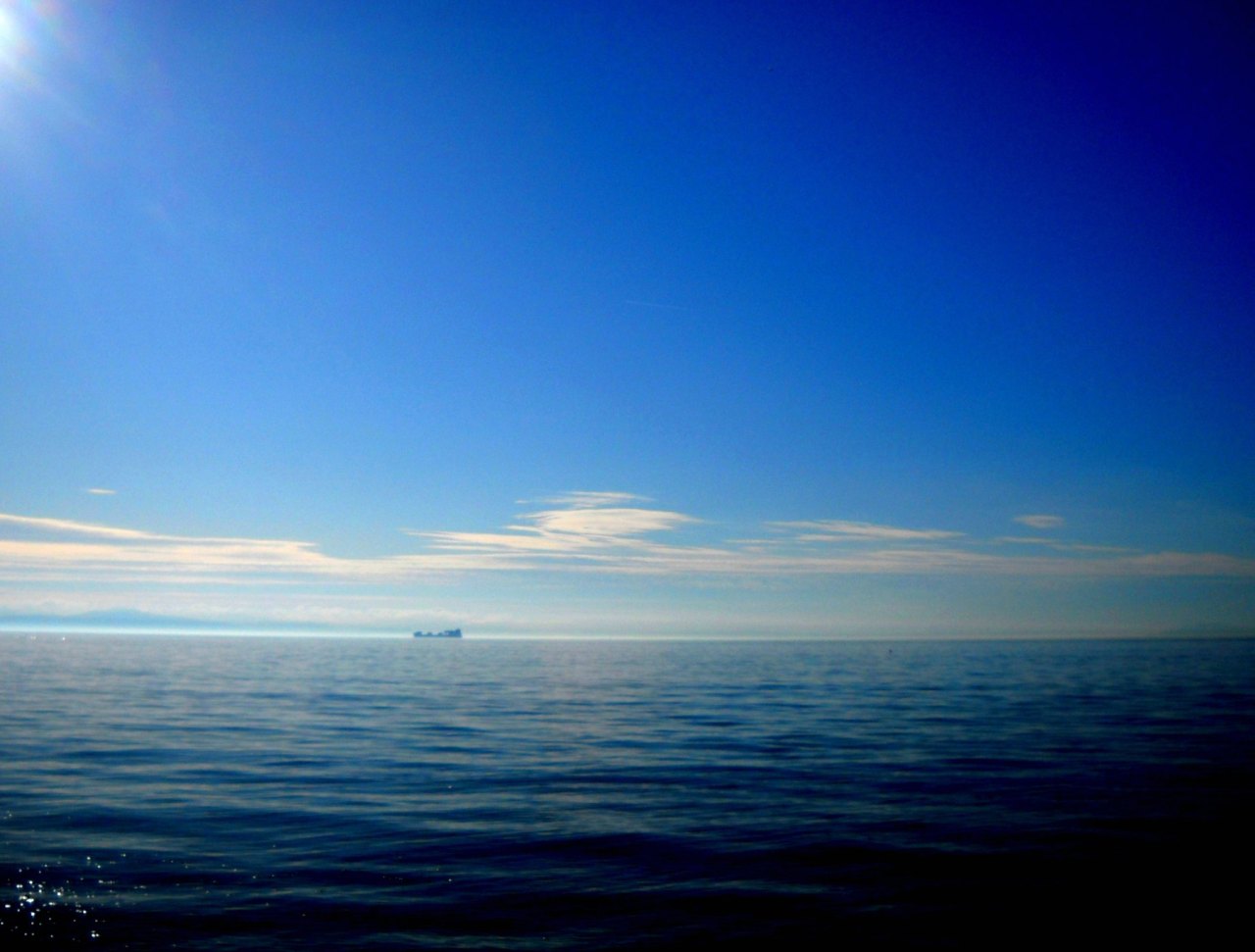 Nyshex: The Game Changer in Ocean Freight Logistics