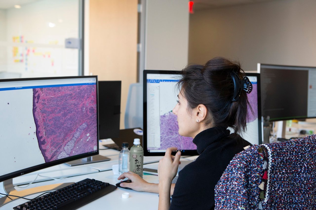 Pioneering AI in Pathology: The Revolutionary Work of Paige