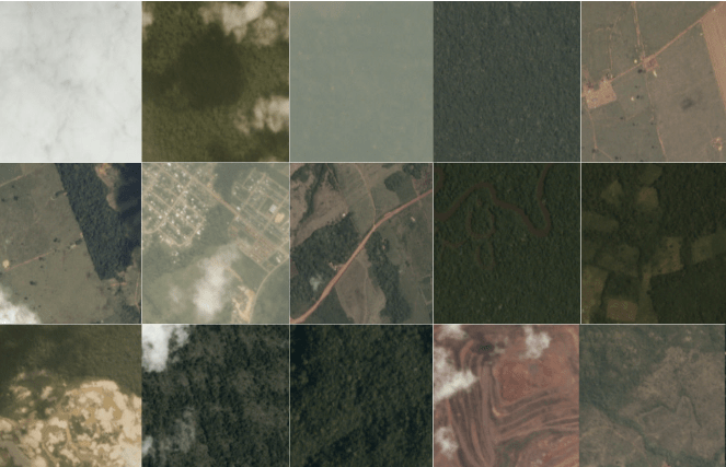 Transforming Forest Surveillance: Planet’s Innovative Approach with Machine Learning