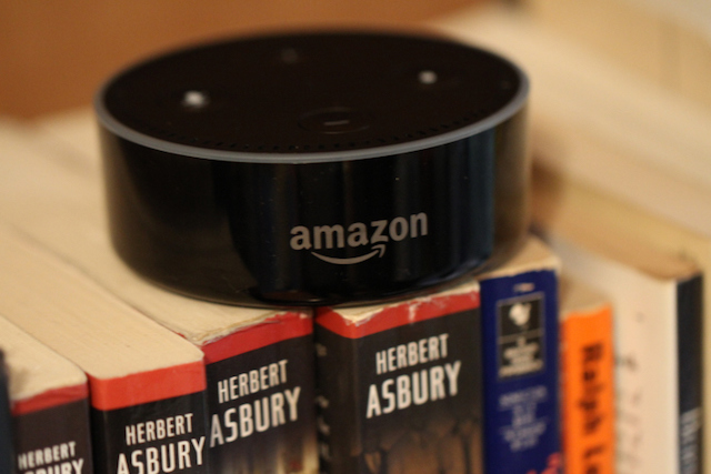 Understanding the Voice Assistant Speaker Craze: A Deeper Dive
