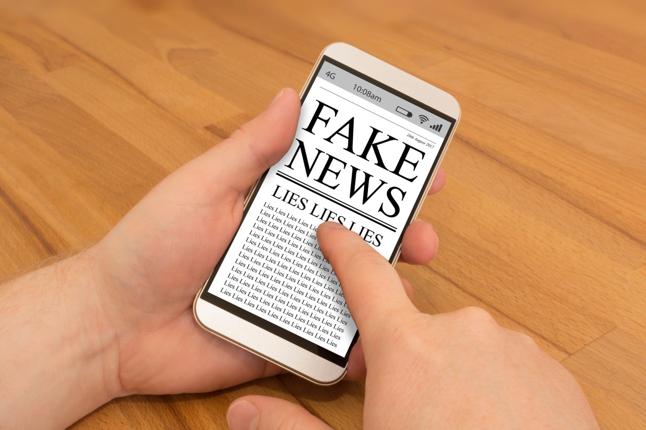 Shining a Light on Disinformation: The Case for Algorithmic Transparency and Media Literacy