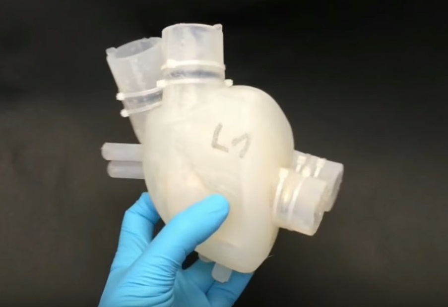 The Future of Prosthetics: 3D Printing a Soft Artificial Heart