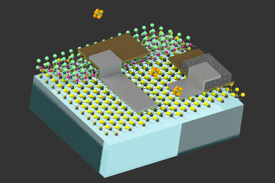 Unveiling the Future: Self-Powered Robots the Size of Human Cells