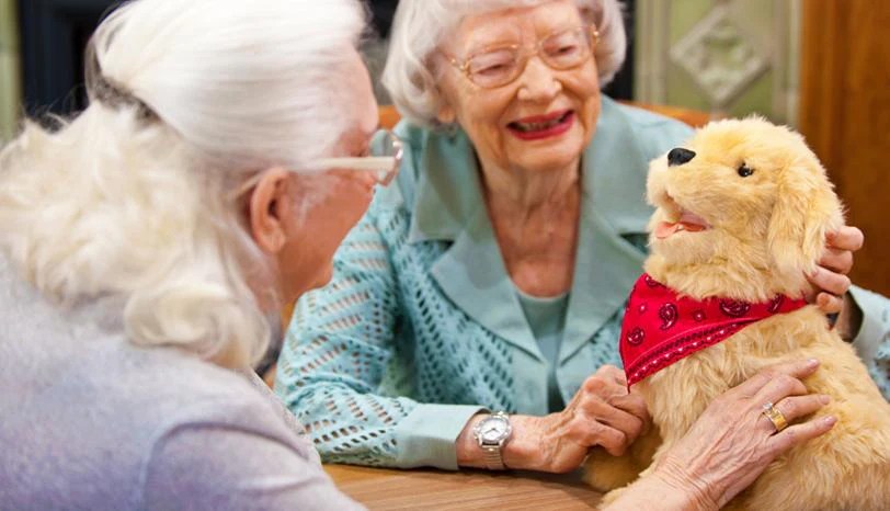 Therapeutic Robotics: Alleviating Loneliness with Furry Friends