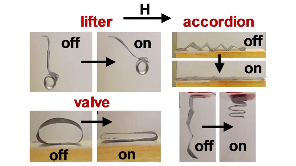 The Future of Soft Robotics: Harnessing Magnetic Fields for Remote Control