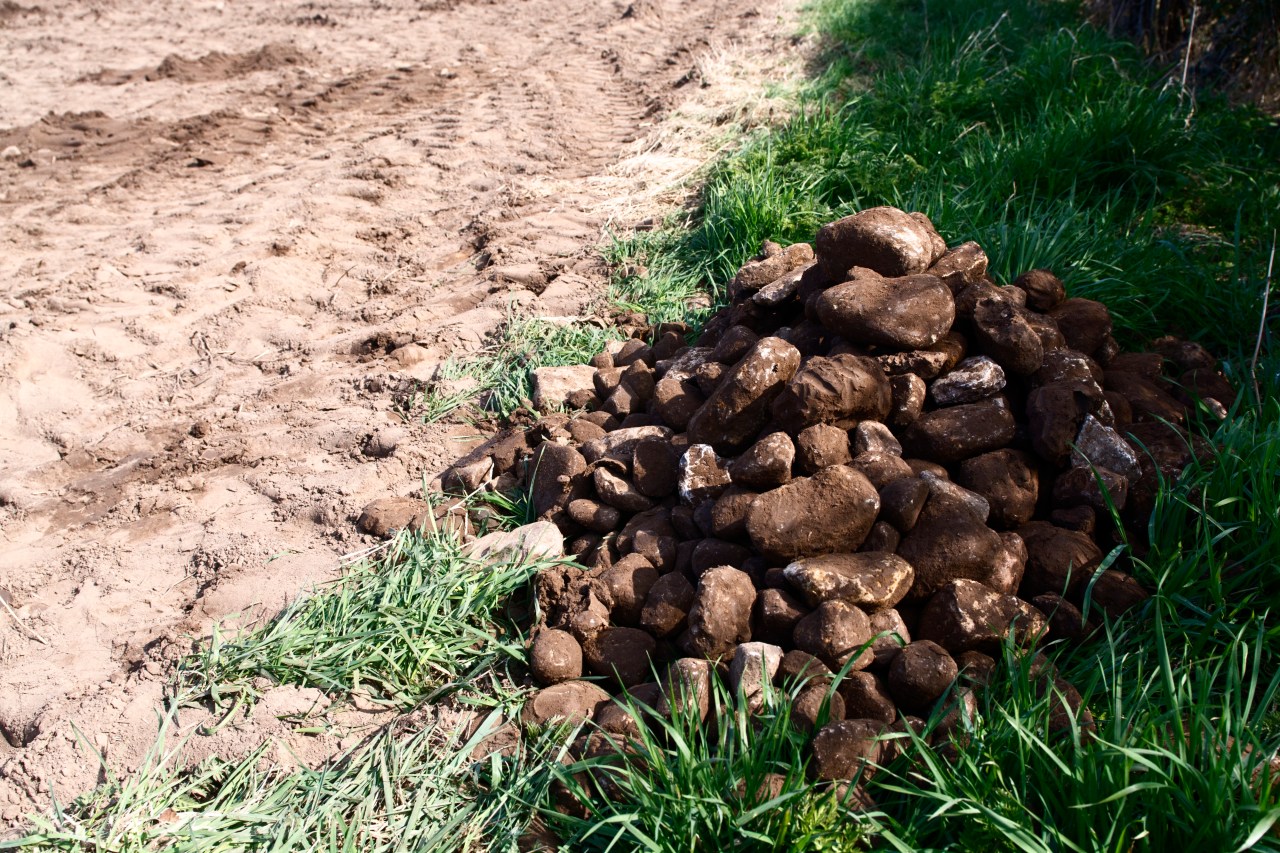 Revolutionizing Agriculture: The Rise of Robotic Rock Pickers