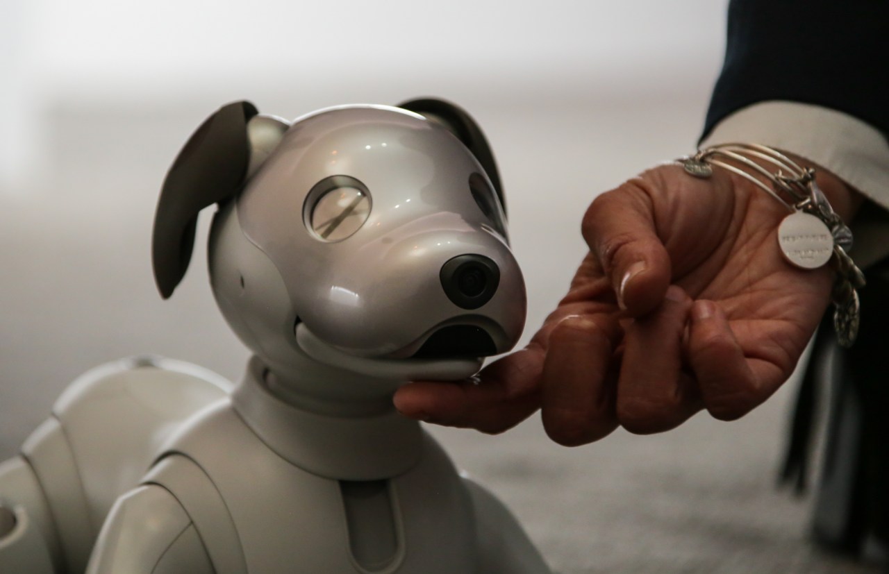 The Heartwarming Resurrection of Aibo: Sony’s Adorable Robot Dogs