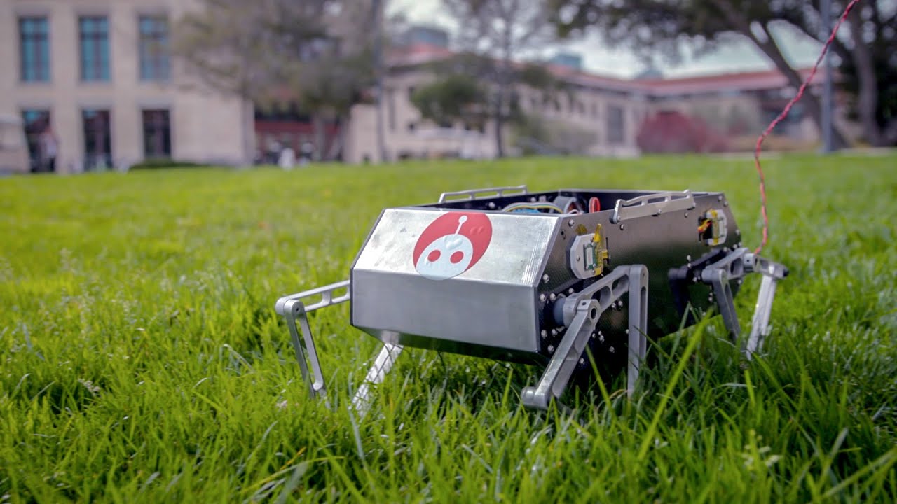 Stanford’s Doggo: A DIY Quadrupedal Robot Revolution