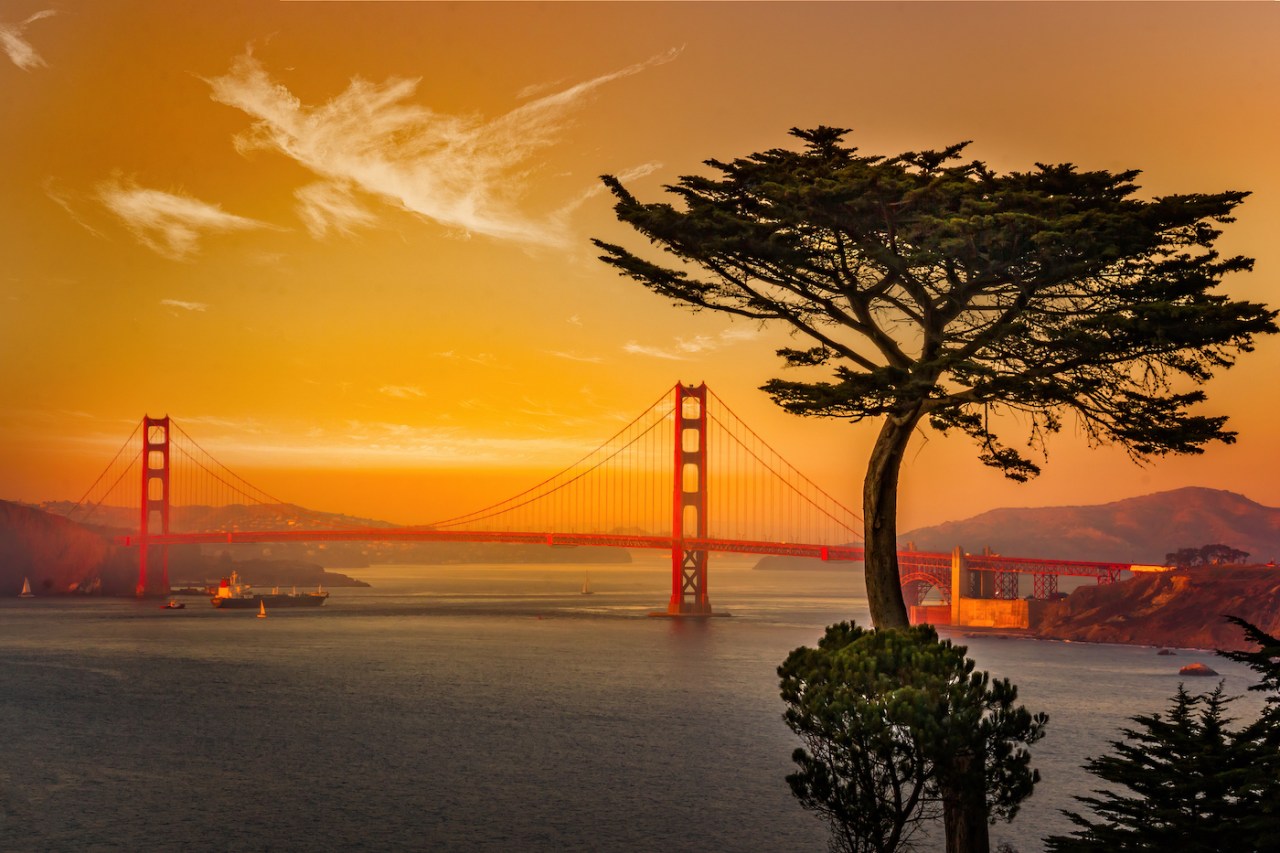 The Evolution of Buy Now, Pay Later: Navigating Growth and Challenges