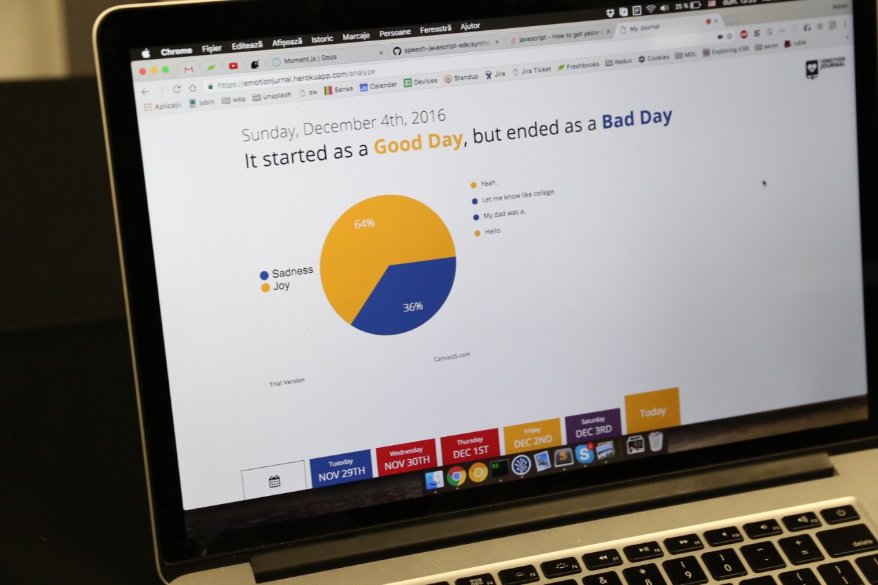 Exploring the Intersection of AI and Mental Wellbeing: The Rise of The Emotion Journal