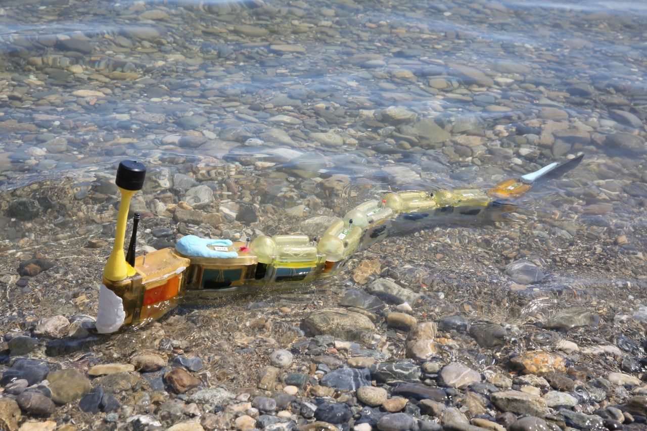 Exploring the Depths: The Envirobot Robo-Eel and Its Environmental Impact
