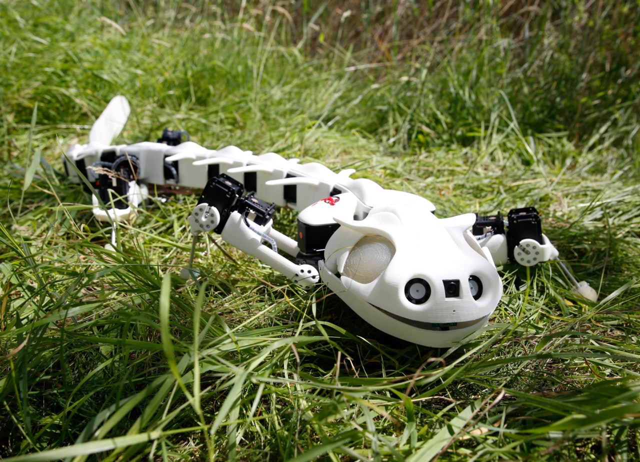 Exploring the Marvels of Biomimicry: The Pleurobot Robo-Salamander