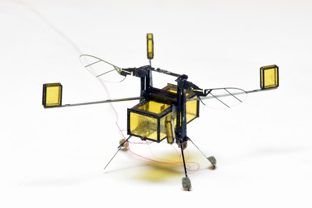 The Amazing Evolution of RoboBee: From Water to Air