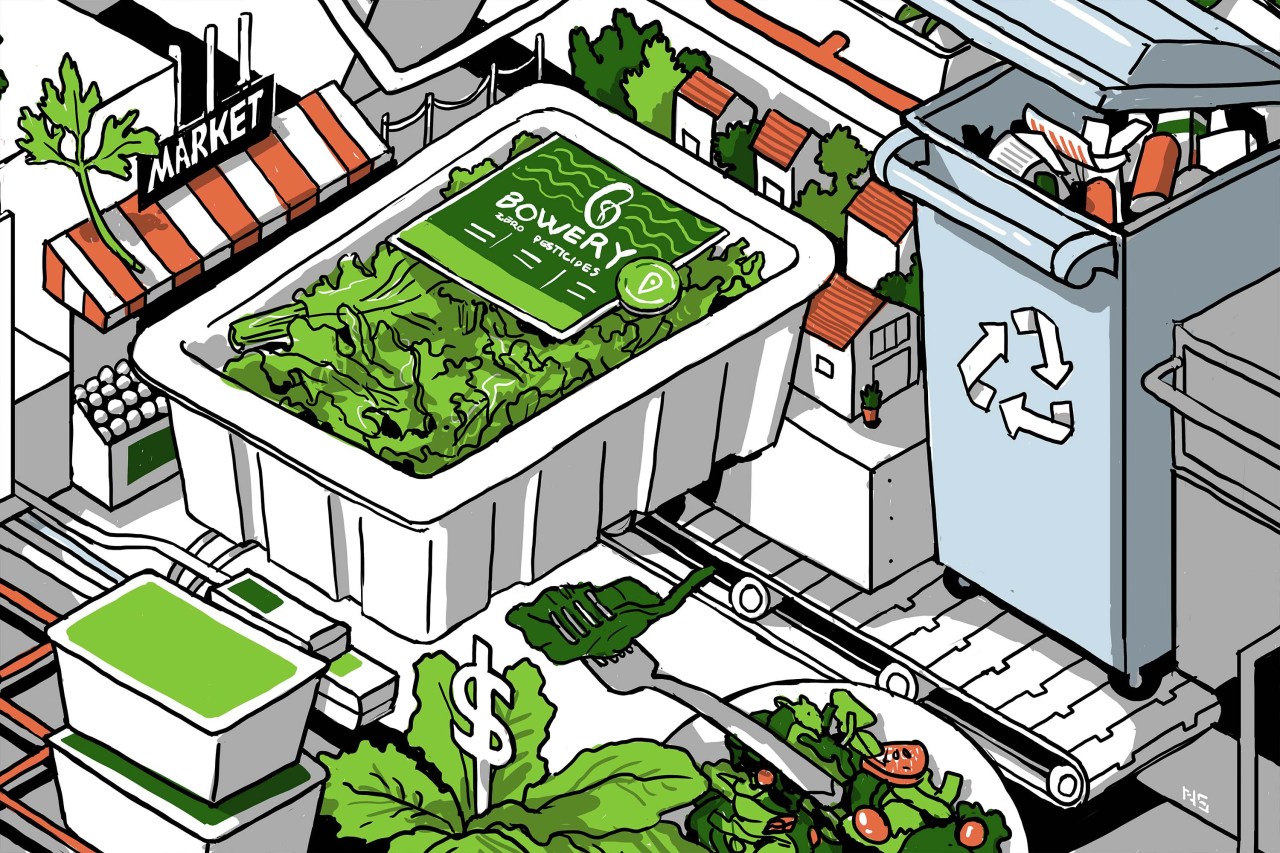 The Future of Urban Agriculture: Navigating the Vertical Farming Landscape