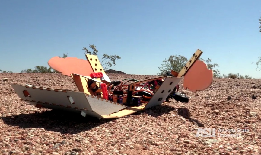 C-Turtle: The Future of Minefield Clearance