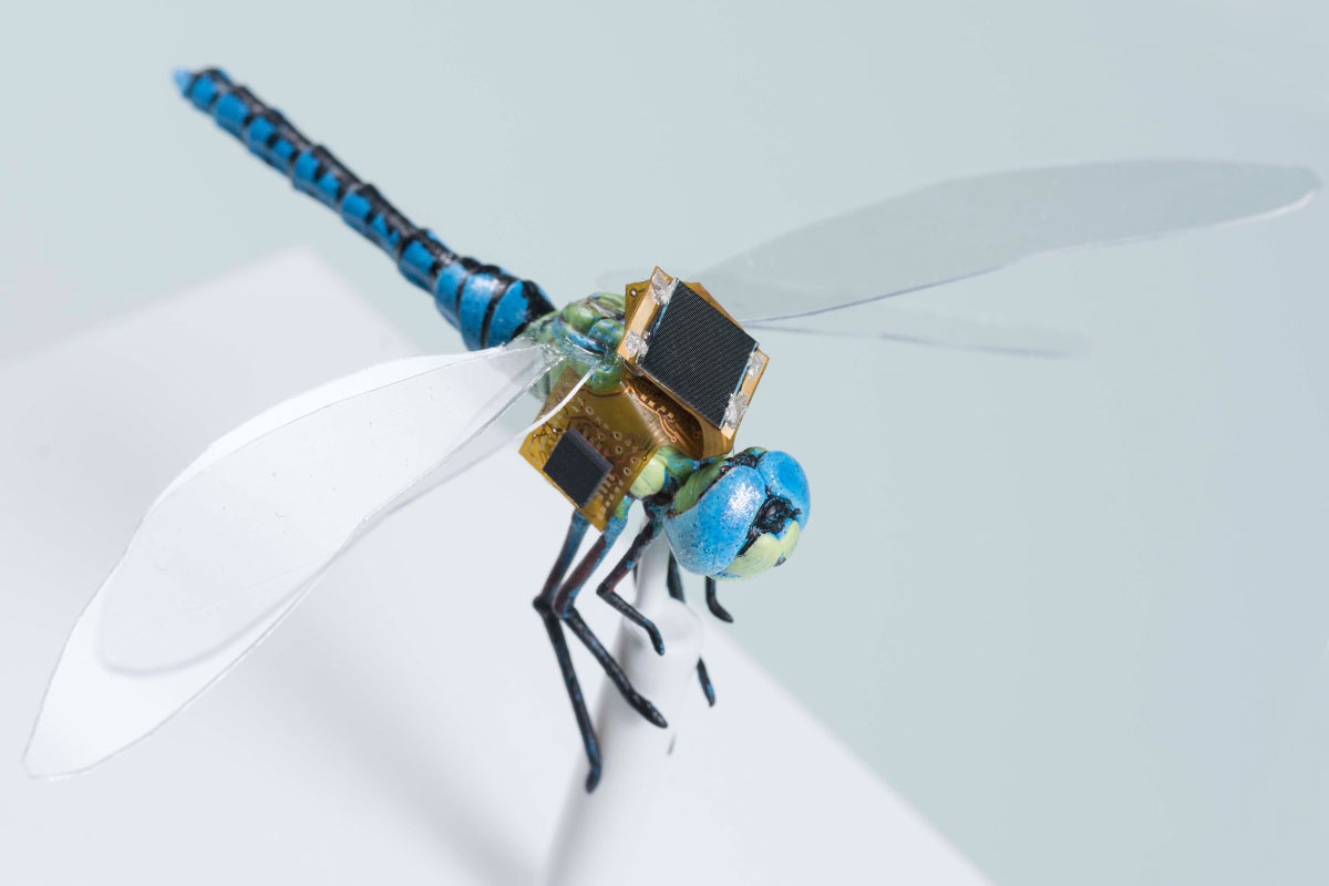 Cyborg Dragonflies: A Revolutionary Step in Pollination Technology
