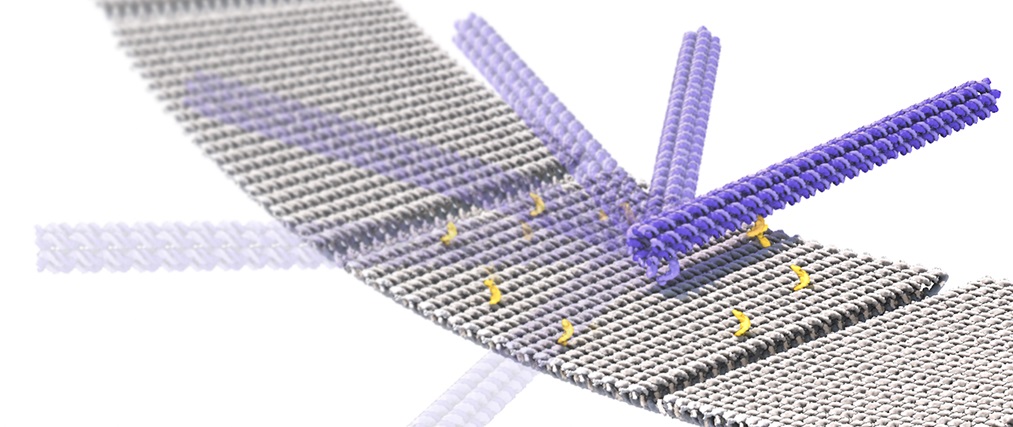The Future of Nano-Manufacturing: Unleashing the Power of Nano-Cranes