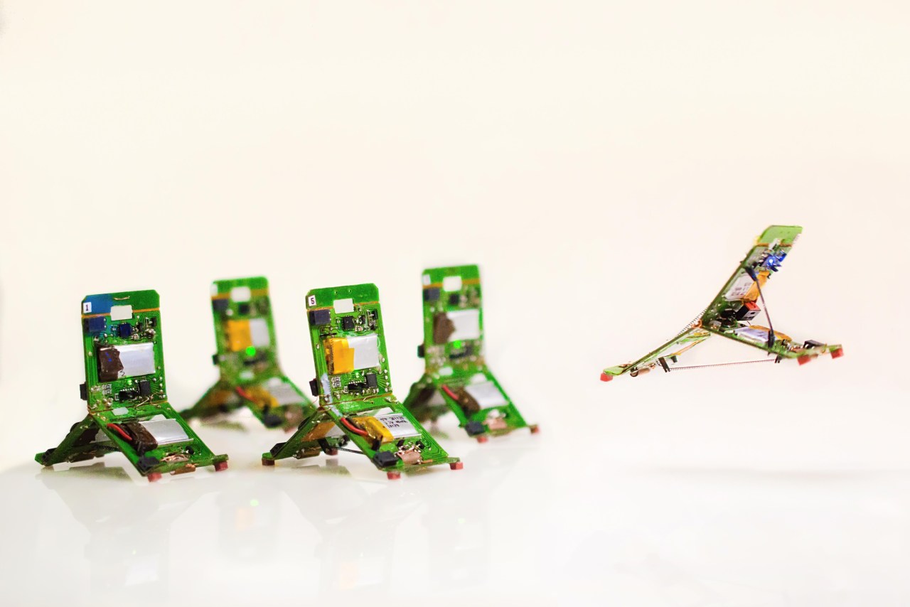 Exploring the World of Robo-Ants: A New Era in Swarm Robotics