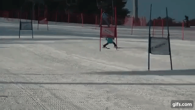 Robotic Skiing at Its Finest: Unveiling the Ski Robot Challenge