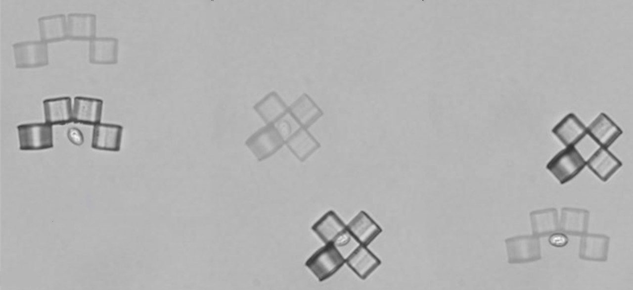 The Future of Micro-Manipulation: Innovative Microbots for Cell Capture