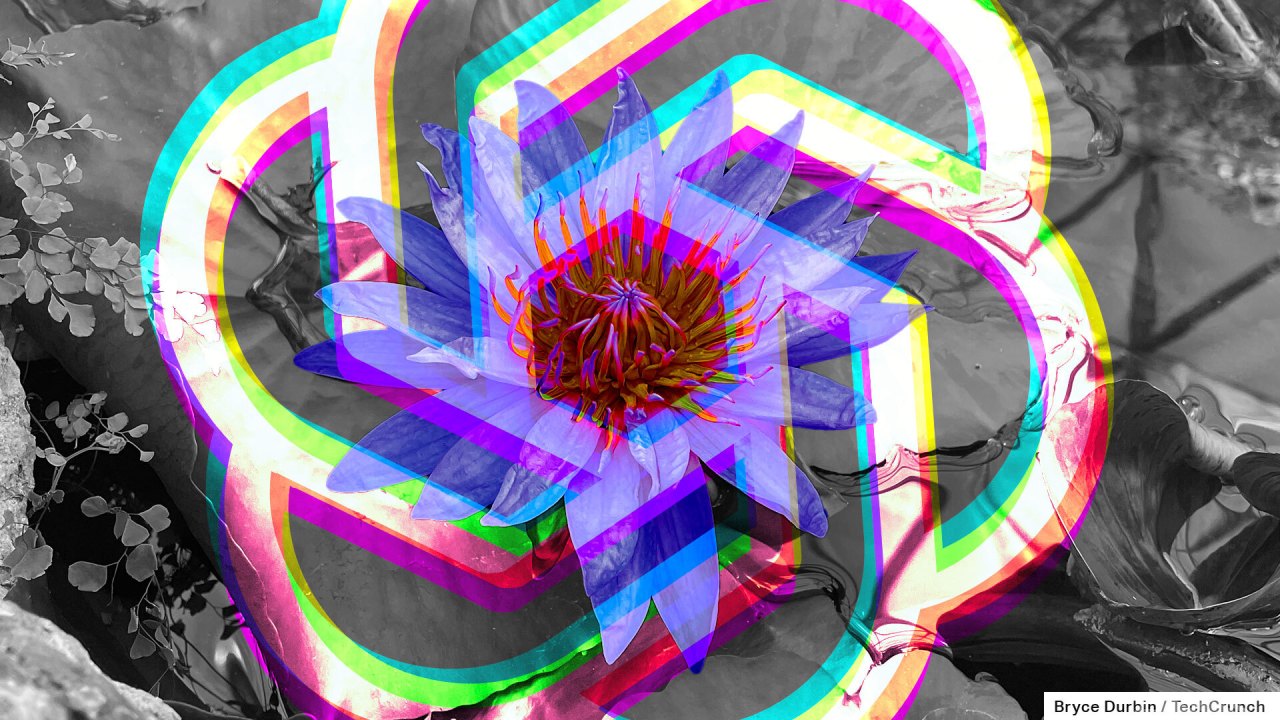 This Week in AI: OpenAI Finds a Partner in Higher Education