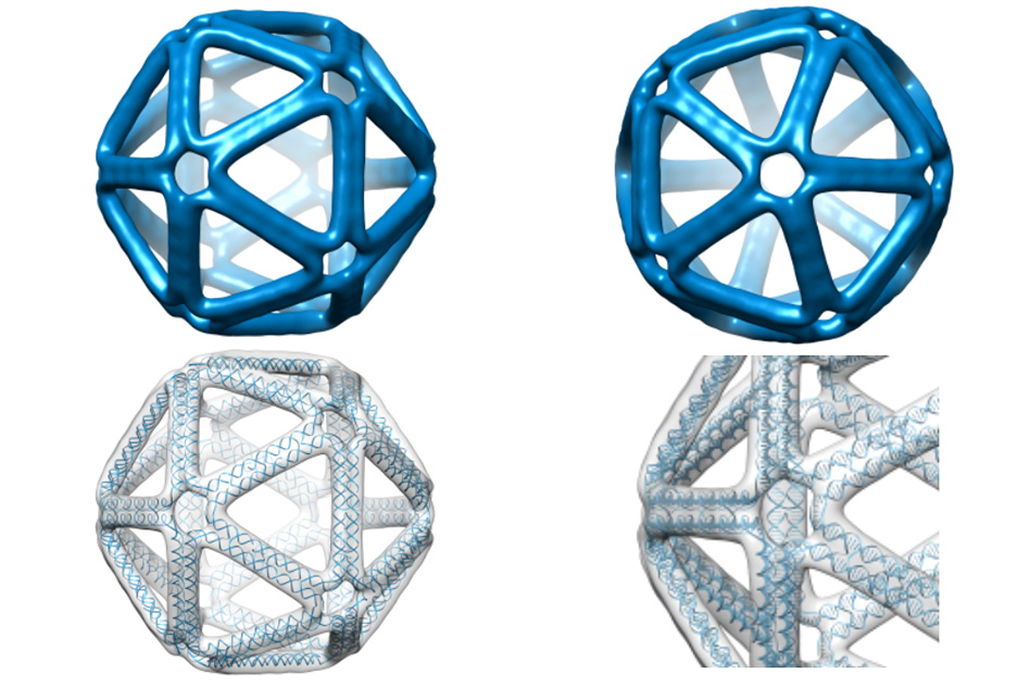 Revolutionizing DNA Origami: Simplification Through Innovation