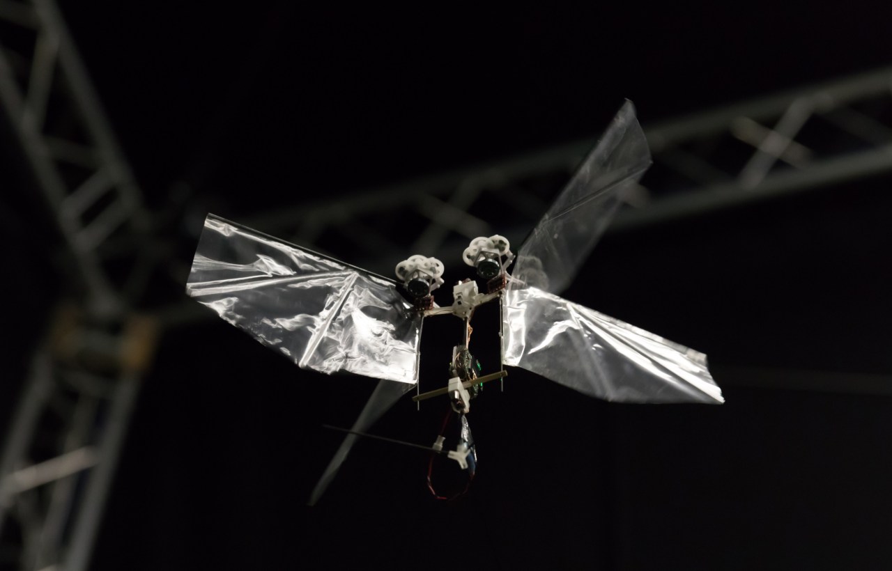 Flying Into the Future: The Ingenious Design of the DelFly Nimble