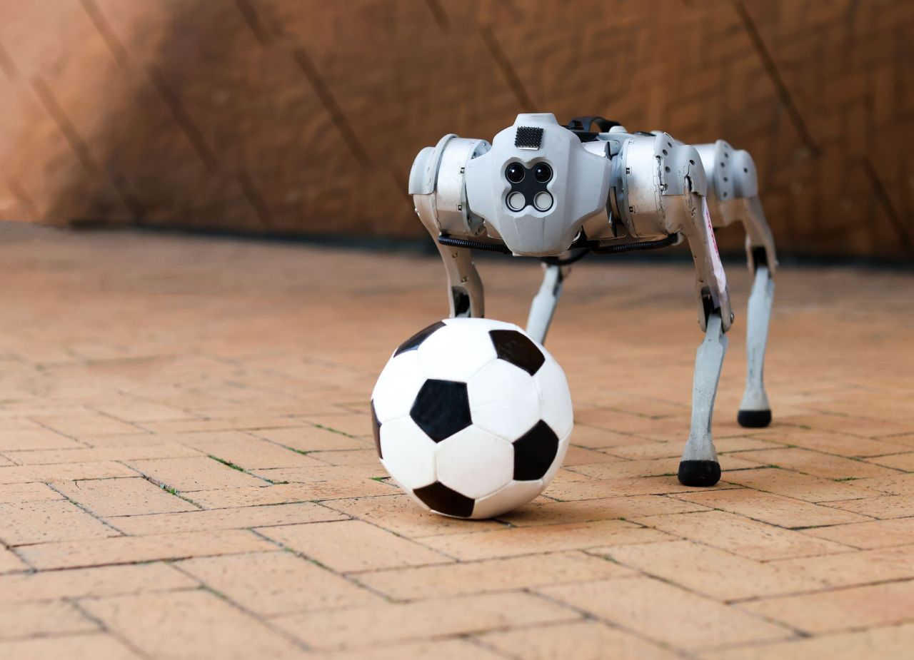 Unleashing the Potential of Quadrupedal Robots: Meet Dribblebot